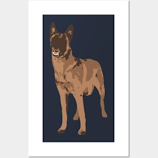 Malinois Posters and Art